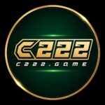 C222 Game Official Image