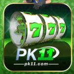 PK11 Game Official Image