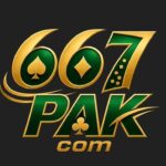 667Pak Game Official Image