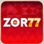 ZOR77 Game Official Image