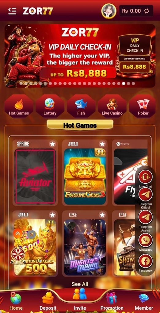 ZOR77 Game Official Image