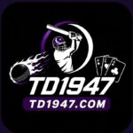 TD1947 Game Official Image